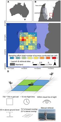 A Novel Method for Using Small Unoccupied Aerial Vehicles to Survey Wildlife Species and Model Their Density Distribution